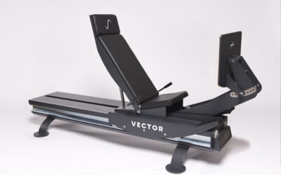 Vector